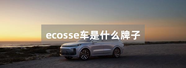 ecosse车是什么牌子