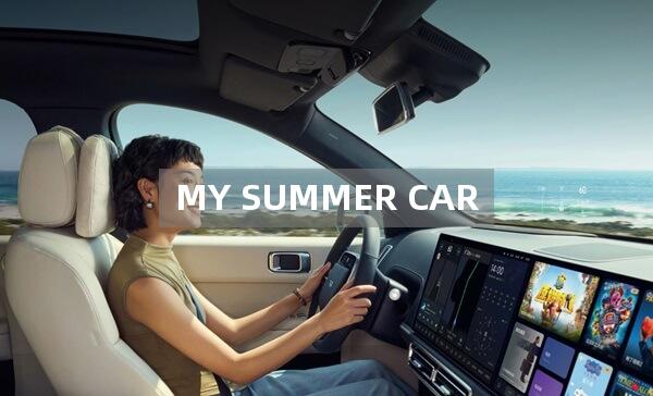 MY SUMMER CAR怎么开车