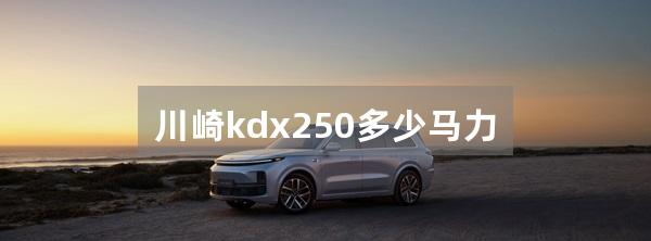 川崎kdx250多少马力