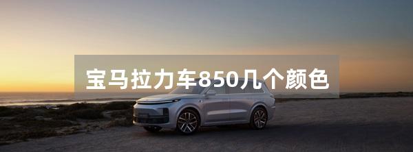 宝马拉力车850几个颜色