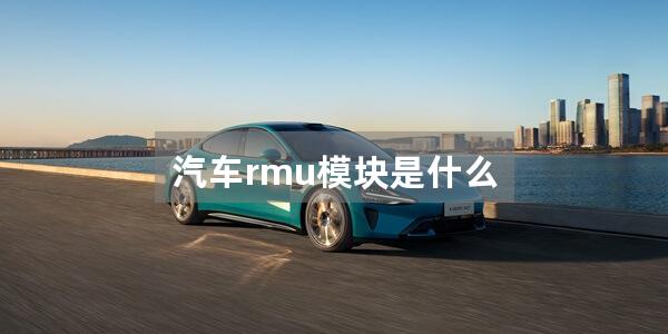 汽车rmu模块是什么