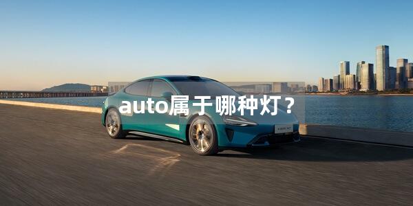 auto属于哪种灯？