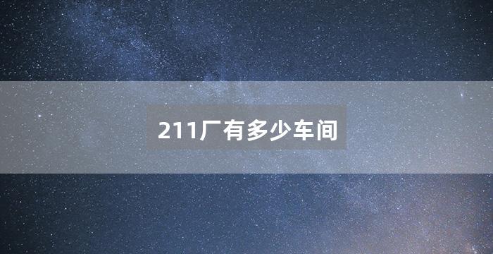 211厂有多少车间