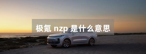 极氪 nzp 是什么意思