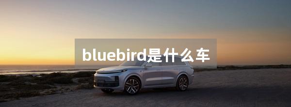 bluebird是什么车