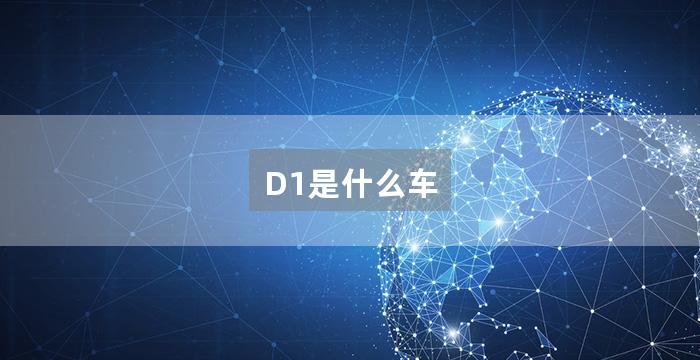 D1是什么车