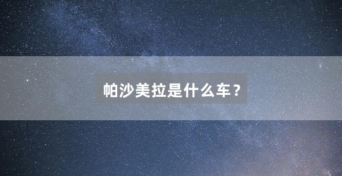 帕沙美拉是什么车？