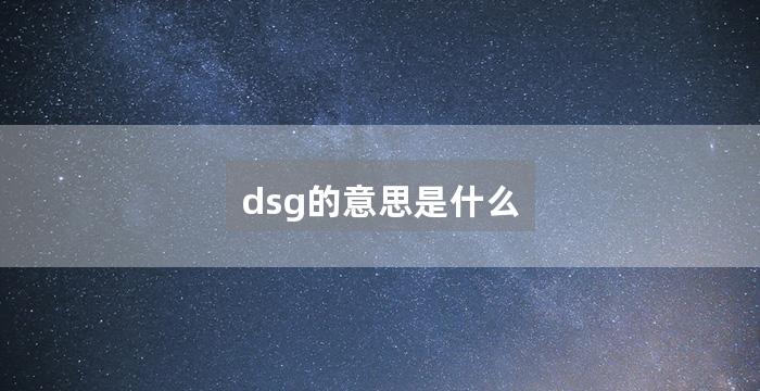 dsg的意思是什么