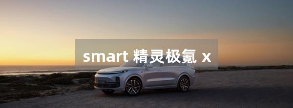 smart 精灵极氪 x