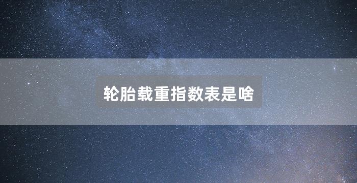 轮胎载重指数表是啥