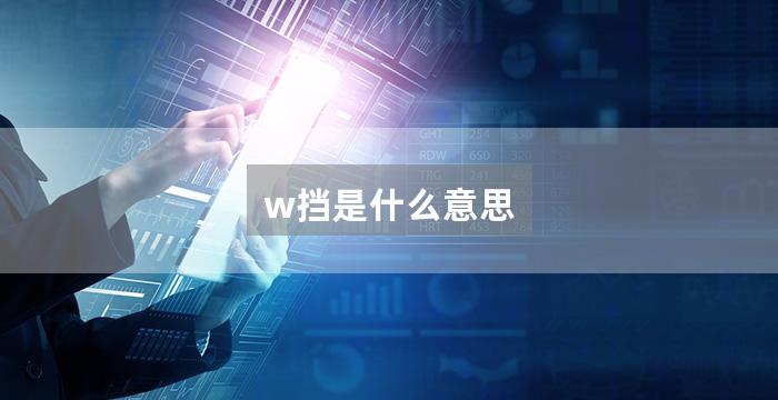 w挡是什么意思