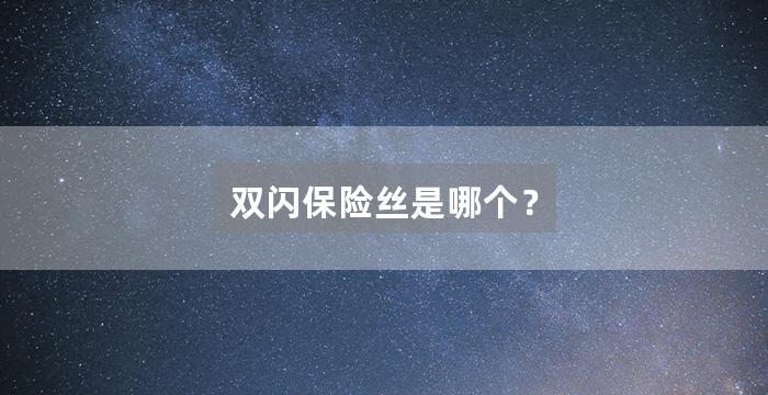 双闪保险丝是哪个？