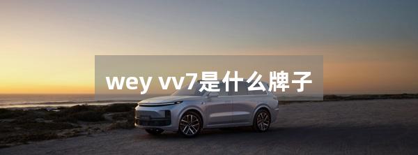 wey vv7是什么牌子