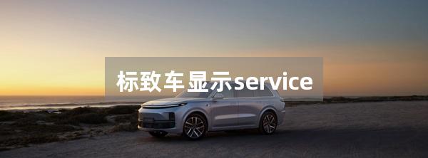 标致车显示service