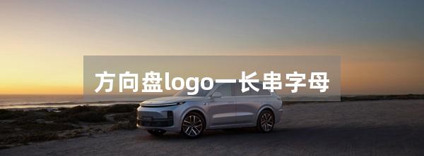 方向盘logo一长串字母