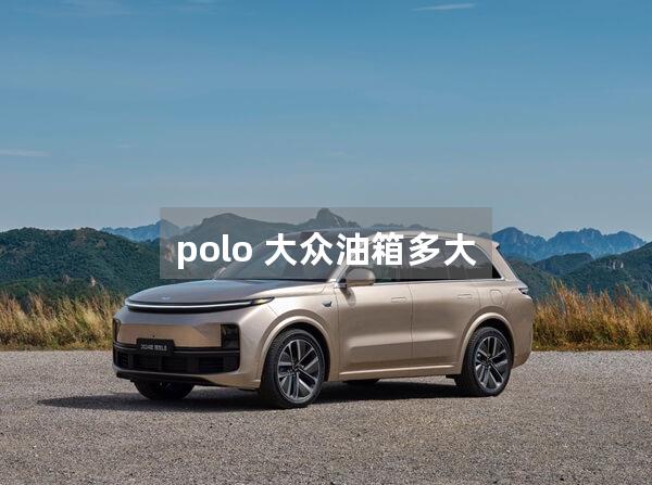 polo 大众油箱多大