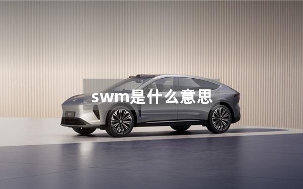 swm是什么意思