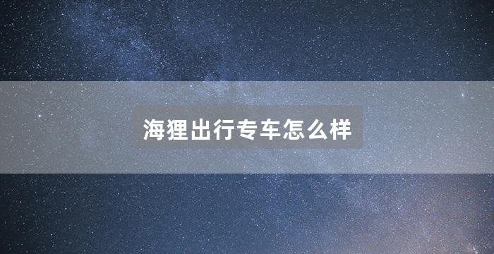 海狸出行专车怎么样