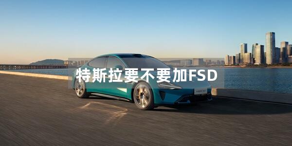 特斯拉要不要加FSD