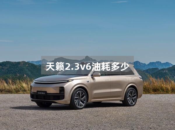 天籁2.3v6油耗多少