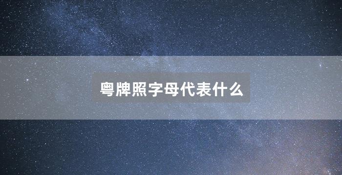 粤牌照字母代表什么