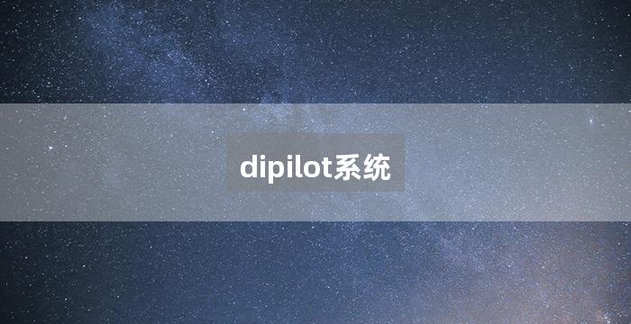 dipilot系统