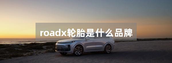 roadx轮胎是什么品牌