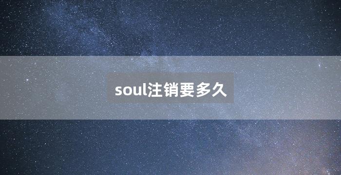 soul注销要多久