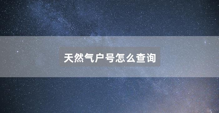 天然气户号怎么查询