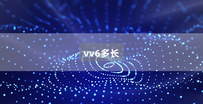 vv6多长