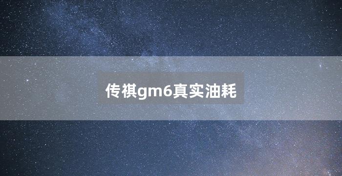 传祺gm6真实油耗