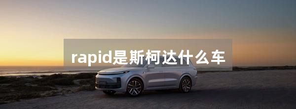 rapid是斯柯达什么车