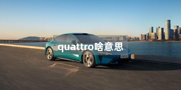 quattro啥意思