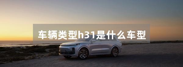 车辆类型h31是什么车型