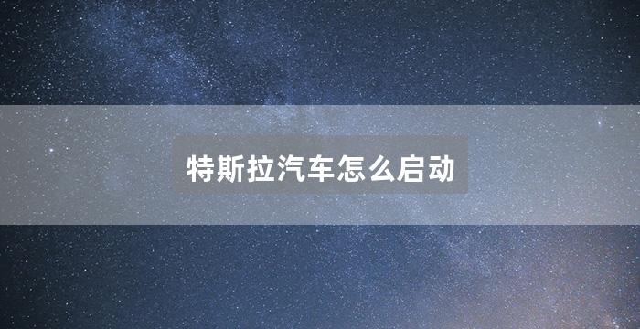 特斯拉汽车怎么启动