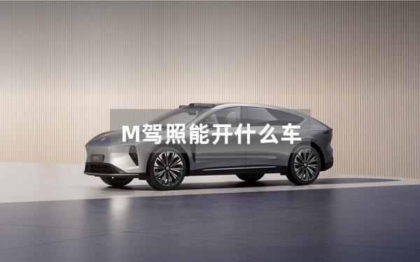 M驾照能开什么车