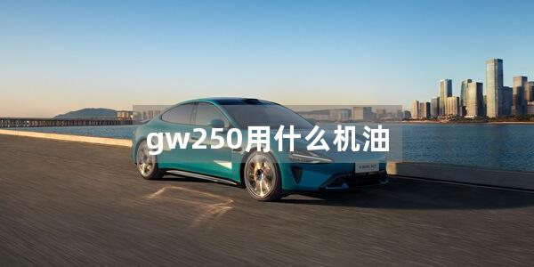 gw250用什么机油