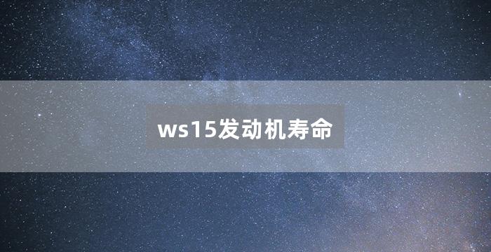 ws15发动机寿命