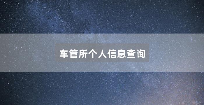 车管所个人信息查询