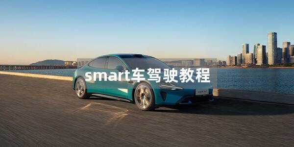 smart车驾驶教程