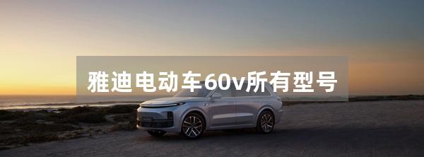 雅迪电动车60v所有型号